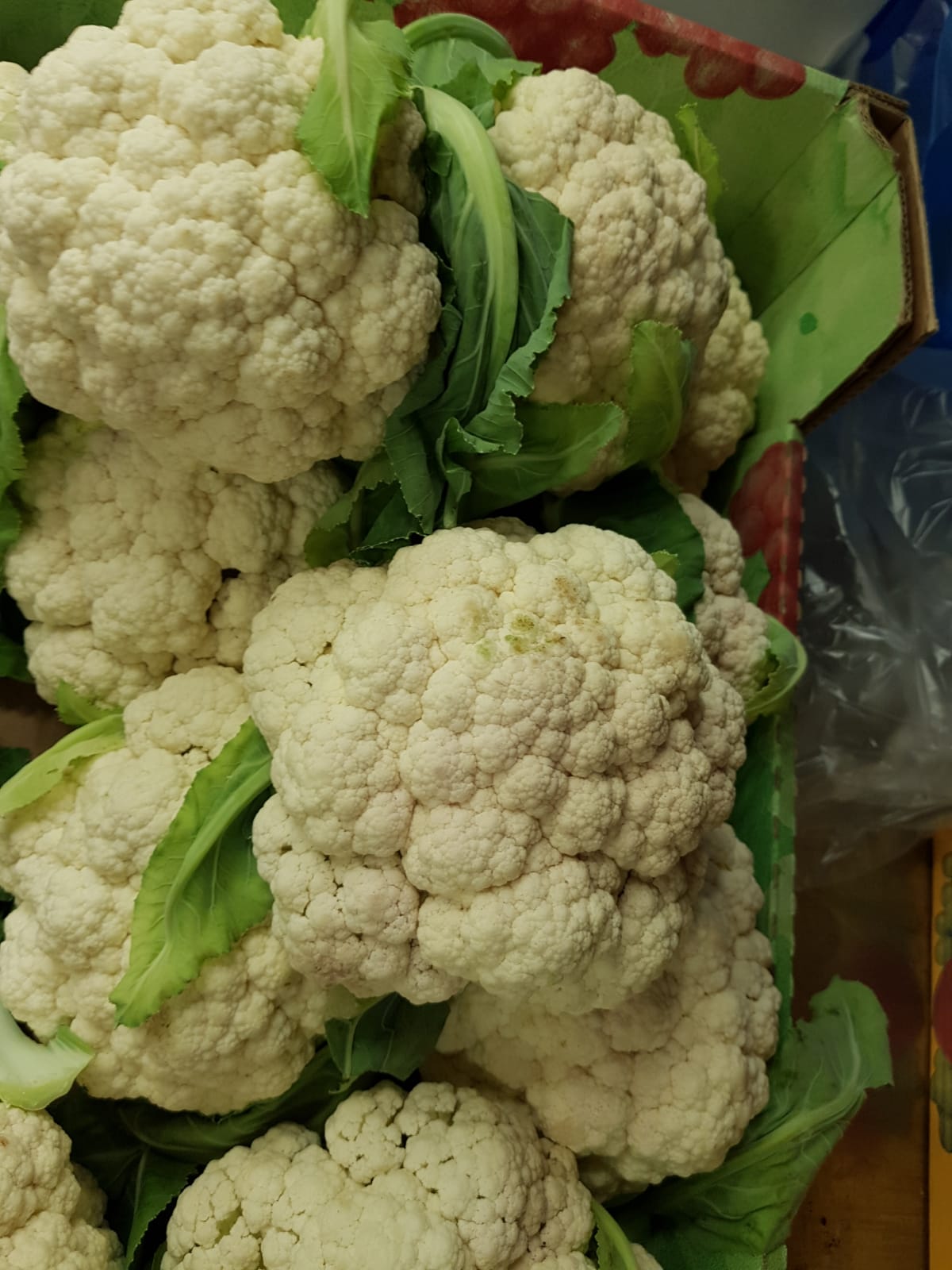 WhatsApp Image 2020-04-19 at 7.02.42 PM (1).jpeg.jpeg